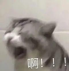 小猫尖叫表情包的搜索结果_百度图片搜索