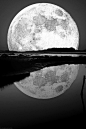 Moonrise - This is the kind of picture I want to be able to take!