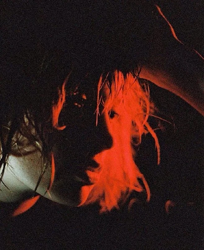 RED-花瓣网