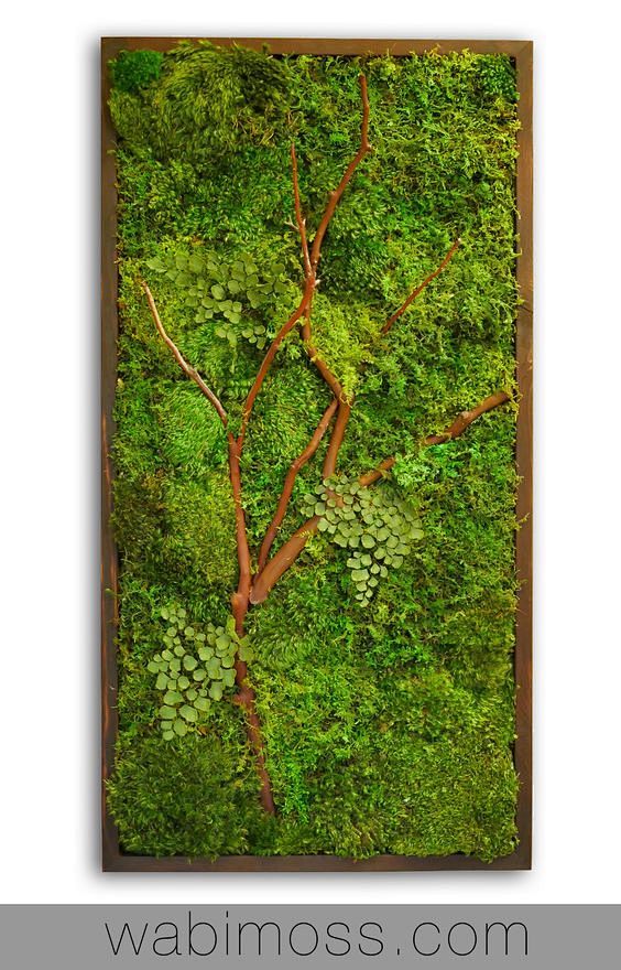 苔藓墙艺术，用真正保存下来的苔藓和蕨类植...
