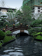 640.webp (16).jpg