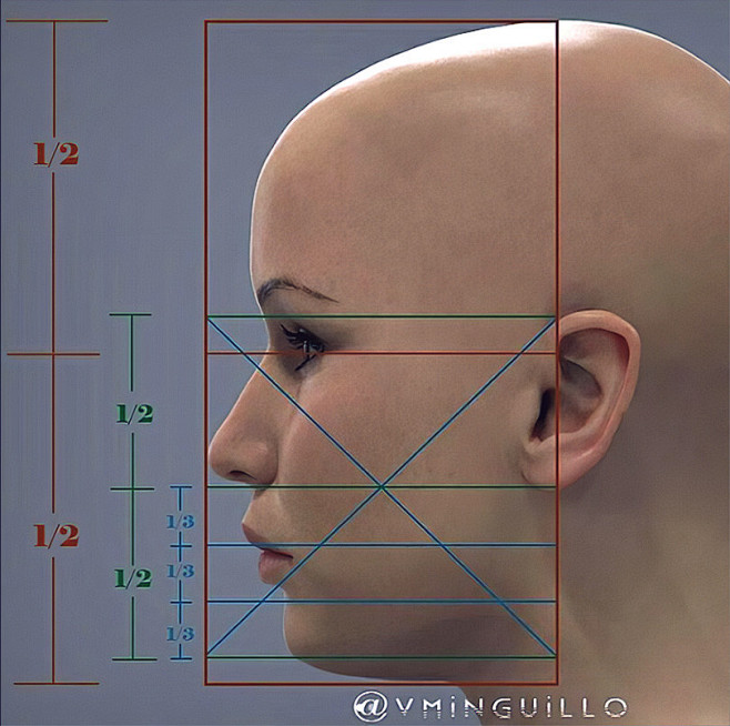 Face measurements, V...