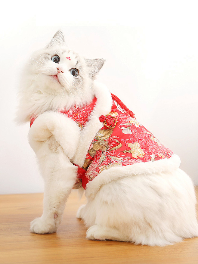 猫咪衣服泰迪过年喜庆新年唐装中国风春节狗...