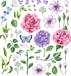 大套花玫瑰，绣球花，苹果树图片下载