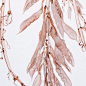 Andrea Spencer (@aspencerglass) · Instagram 照片和视频