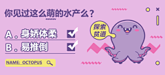 自嘲的麻雀采集到电商丶钻展