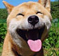 来自相册