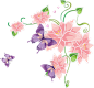 png唯美鲜花花卉花朵素材 艺术插画素材 紫色蓝色唯美 紫色蝴蝶
@冒险家的旅程か★