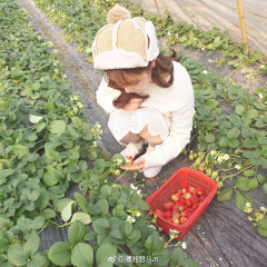 与你在这最后的夏天采集到互联网。