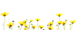 #草类# #植物PNG# #PNG素材# #绿叶# #藤蔓# #叶子PNG# #花朵# #薰衣草# #玫瑰# #花PNG#