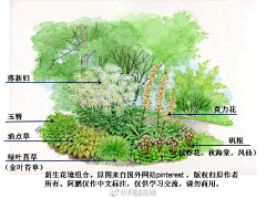 ZellYIYI采集到植物设计