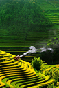 Rice fields on terraced of Mu Cang Chai, YenBai, Vietnam. | 17 Unbelivably Photos Of Rice Fields. Stunning No.