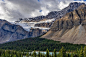 Mountains, Snow, Trees, Glacier, Forest