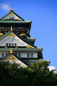 SakuraGong采集到「Life」此景 此路 此树。