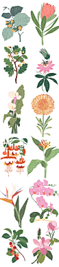 时尚复古手绘植物花卉插画矢量春天花朵插图素材AI免扣PNG (4)