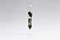 Micro Matter. 2 : Miniature worlds came into existence inside glass test tubes.