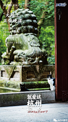 zoro筱采集到电商