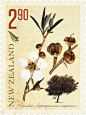 乡土树种邮票插画系列-新西兰Stephen Fuller插画师作品封面大图