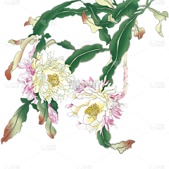 花瓣素材采集到【免抠】花卉元素