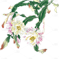 中国风植物贴纸-花卉