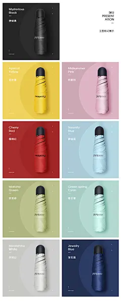sku板式