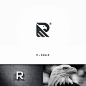R + eagle concept ☆☆☆ Need a amazing logo? PM us!! 30% discount!
