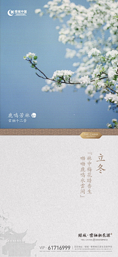 y5XzXQSw采集到节日节气