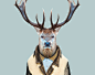 Elk---Cervus-Canadensis-copia