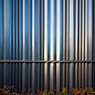 Blue Autumn