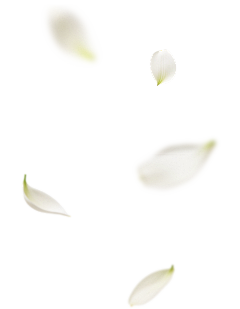 记性不好的作图工具采集到免扣素材