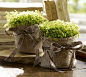 burlap and ribbon: 