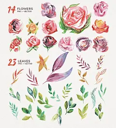 手绘水彩玫瑰花绿植叶子花环装饰元素 PSD+Ai+PNG免扣素材 P43