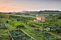 Raised beds on a rural allotment plot on the outskirts of the Mid Devon village of Morchard Bishop, Devon, England, United Kingdom, Europe