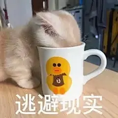 100个特别有趣的情侣必备的表情包，撩对象必备,你保存了吗？ - 知乎