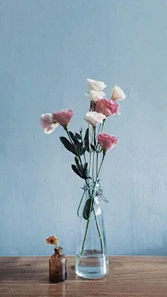 春暖花开!147张唯美手机壁纸!小清新锁屏背景