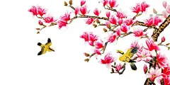 中国复古风 工笔画 牡丹 梅花 鹿孔雀 鸟 莲花卉PNG 免抠PS 后期 设计 PSD 素材 
PNG免抠图  后期透明背景素材 工笔 工笔画 工笔荷花 工笔画任务 工笔人物 工笔花鸟
中国风 中国风素材 中国风原画 中国风海报 中国风背景 古风 古风海报 古风背景 古风封面 国画 
国画山水 国画花卉 国画花鸟 国画人物 国画竹子 手绘 手绘花 手绘素材 手绘海报 手绘插画 水墨画 
油纸伞 鱼鹿马 古典乐器 文房四宝 茶具 花鸟PNG 质感溶图 孙郡 摄影后期 照片处理 装饰背景 建筑 高清 大图