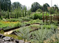 Mainly medicinal plants and spices are grown in the herb garden.   Carl von Linné's (Carl Linnaeus) birthplace