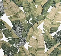 手绘芭蕉叶高清素材 高清 免费下载 页面网页 平面电商 创意素材 png素材