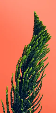 黑鲨游戏壁纸9