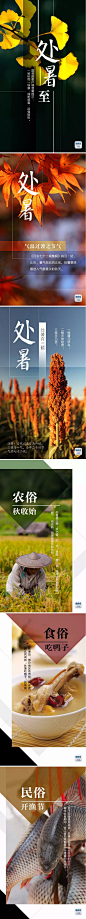 今日处暑丨秋收始、渔船开 处暑才不是个没故事的节气 : 今日处暑丨秋收始、渔船开 处暑才不是个没故事的节气