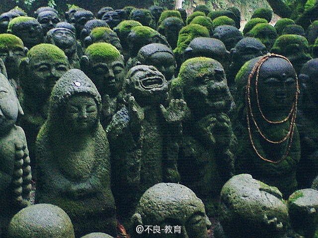 直到长出青苔。晚安。 ​​​​