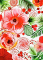 Margaret Berg / Magrikie Holiday Illustration  / Christmas Flowers, Hibiscus and Berries Art Print.