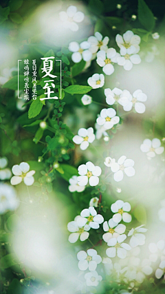 U酷书生采集到二米阳光  （美图Ⅱ）