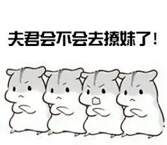 可爱小仓鼠表情包_360图片