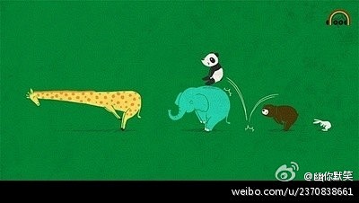 幽你默笑：看到长颈鹿，小熊猫表示压力很大...