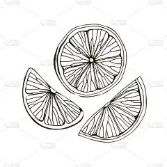 用手绘的柠檬、扁豆、石灰的病媒图解。 被白色背景隔离。 热带夏季水果。 详细的柑橘素描画适合茶、果汁
