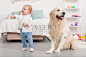 快乐可爱的孩子看向别处，金毛猎犬坐在儿童房的地板上照片摄影图片