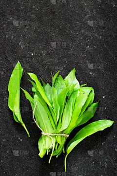 熊葱,熊,绳子,大蒜,绑扎了的,餐具,垂直画幅,素食,膳食,维生素