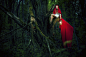 #women, #lanterns, #Little Red Riding Hood | Wallpaper No. 119905 - wallhaven.cc