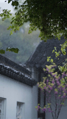 采集kiambery采集到古风素材1【江南风韵】 枕上轻寒窗外雨,眼前春色